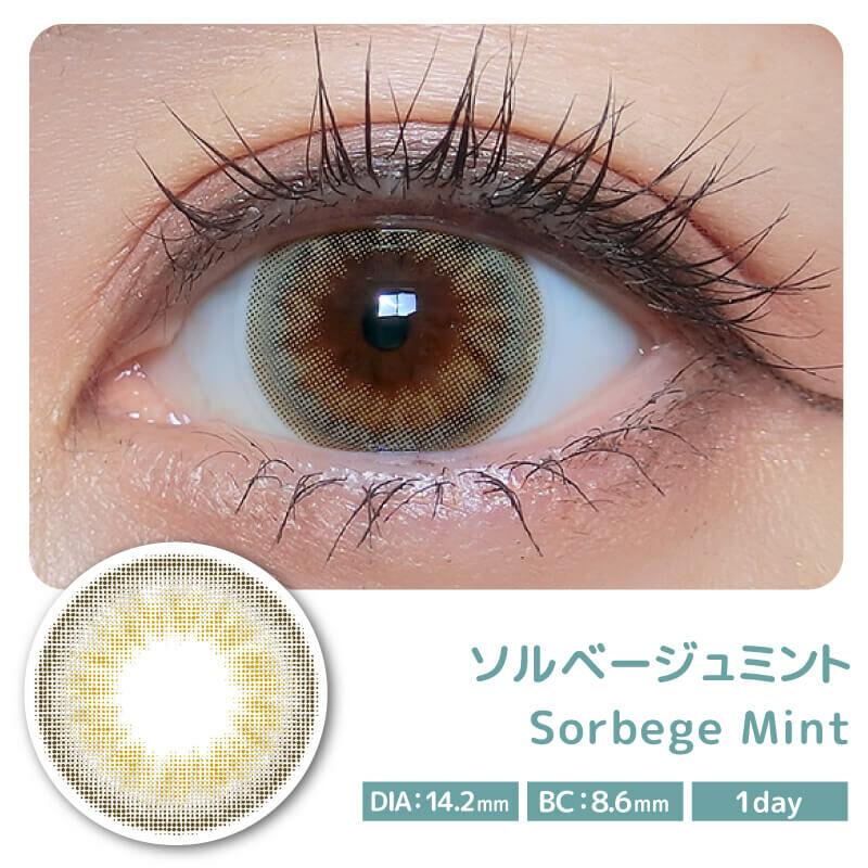 Color Majority - 1 Day Sorbege Mint (10P)