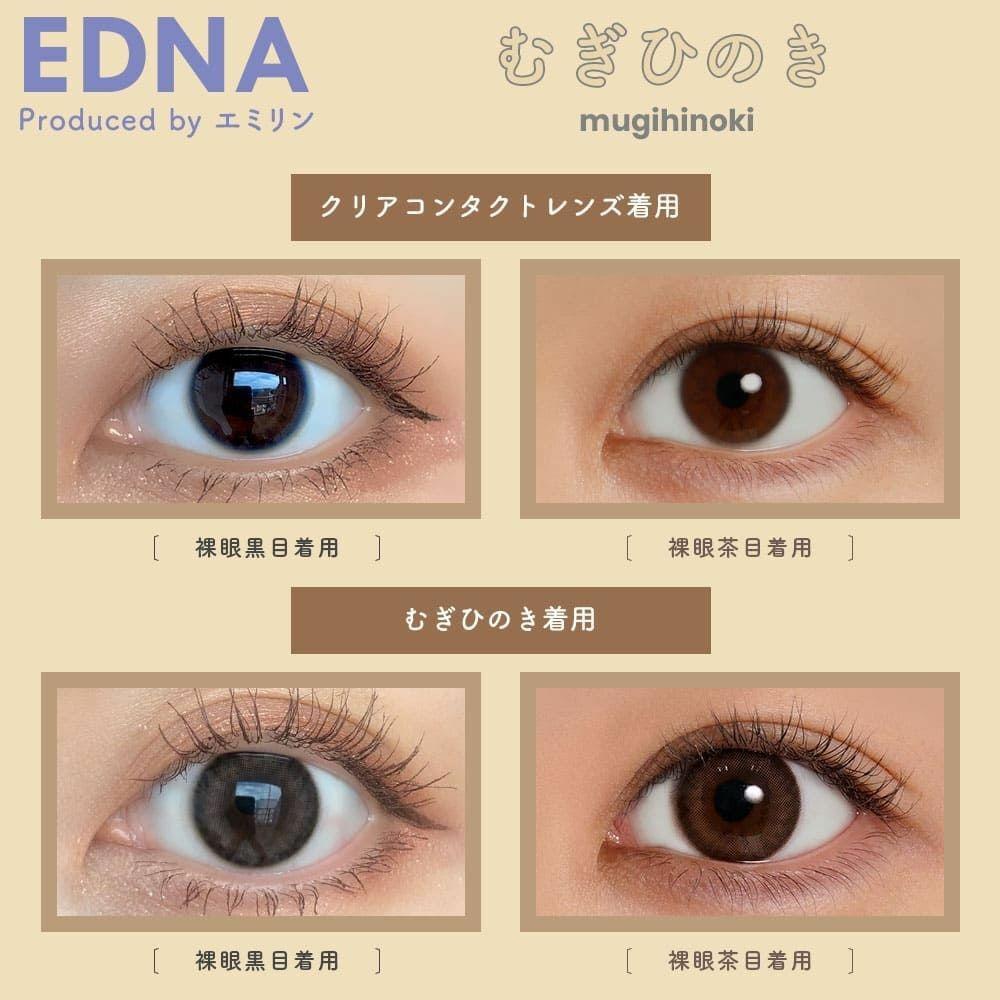 EDNA - 1Day - mugihinoki (10P)