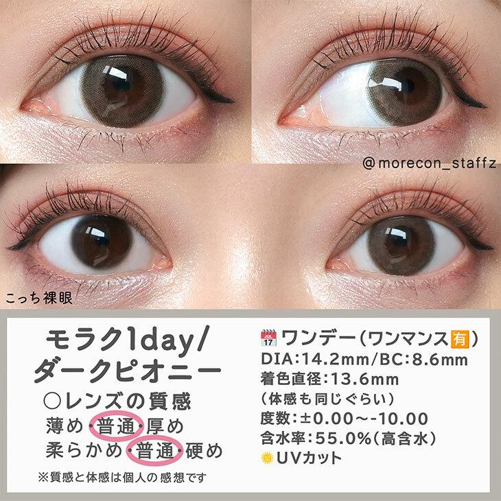 MOLAK - 1day Dark Peony (10P)