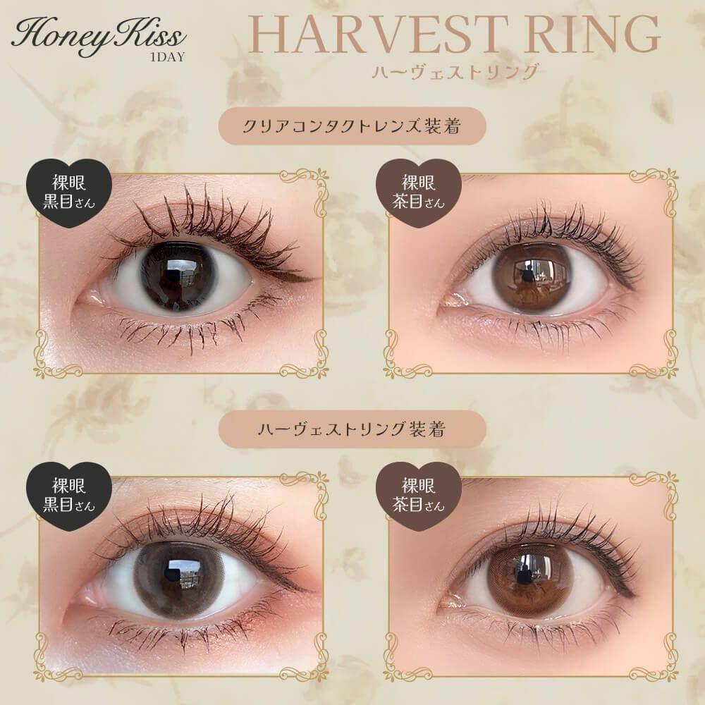 Honey Kiss  - 1Day - chulun ring(10P)