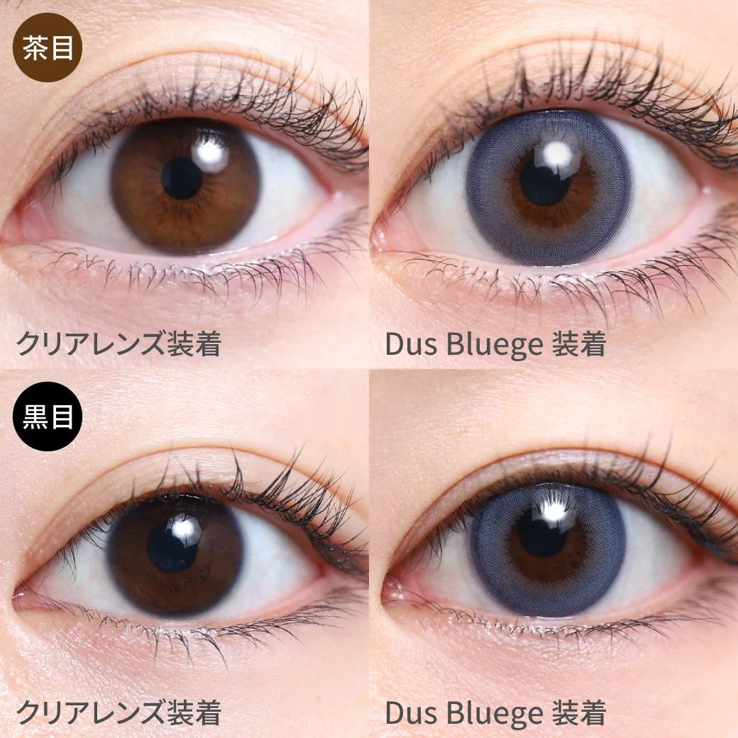 TeAmo - 1 Day Half Type - Dus Bluege (10P)