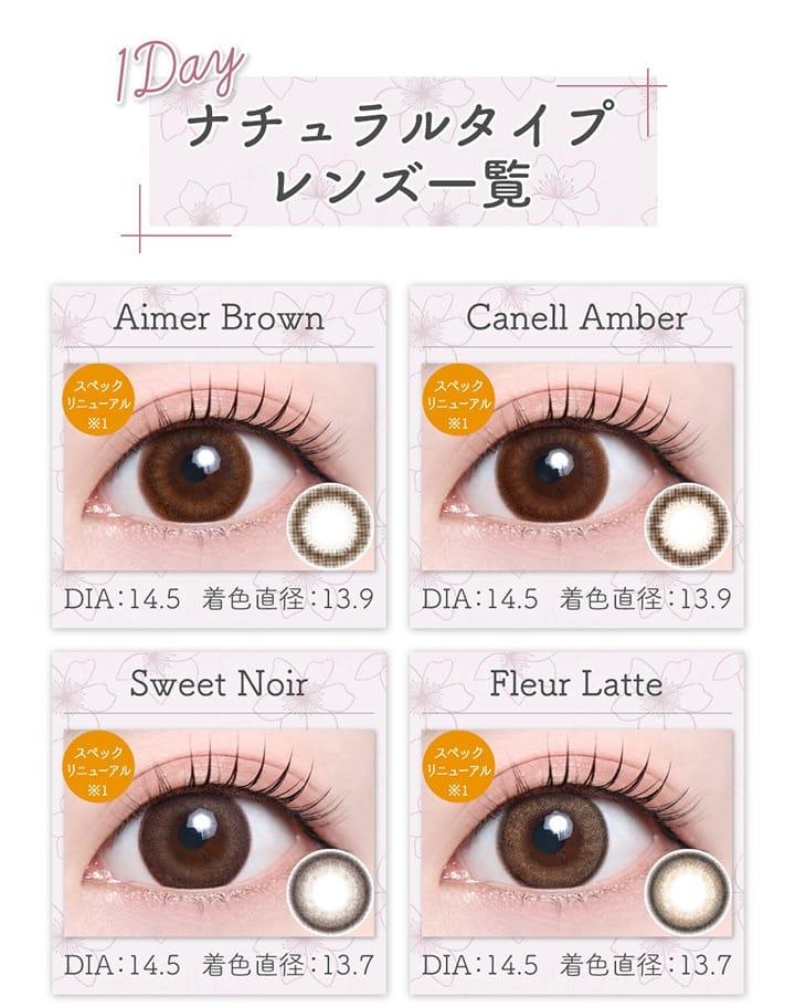 TeAmo - 1 Day Aimer Brown (10P)