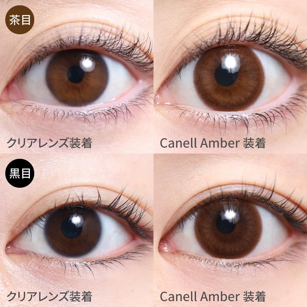 TeAmo - 1 Day Canell Amber (10P)