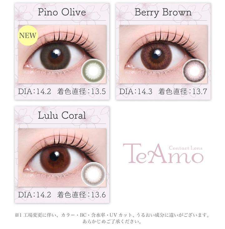 TeAmo - 1 Day Canell Amber (10P)