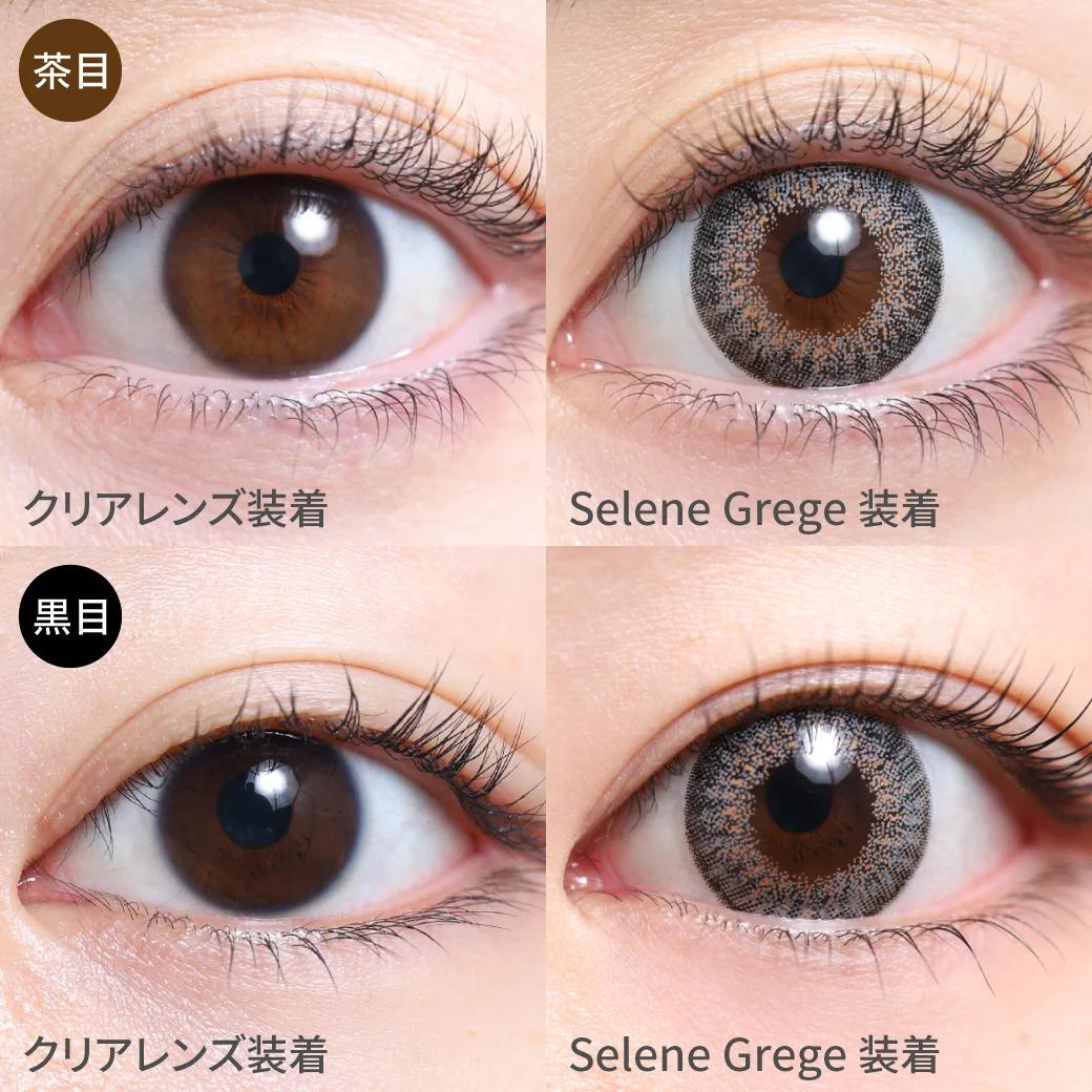 TeAmo - 1 Day Selene Grege (10P)