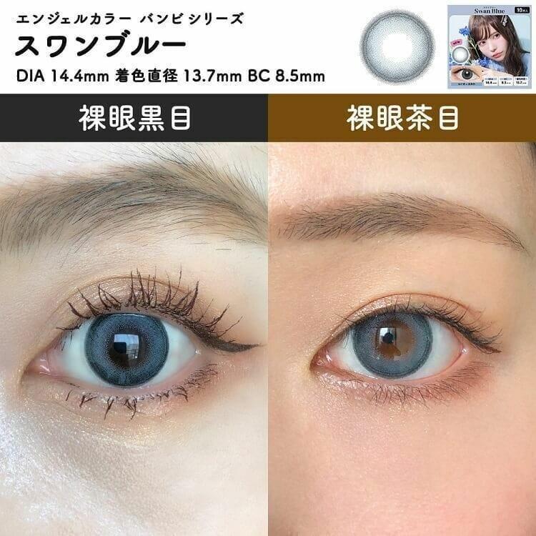 Bambi - Angelcolor Bambi Series 1day Swan Blue (10P)