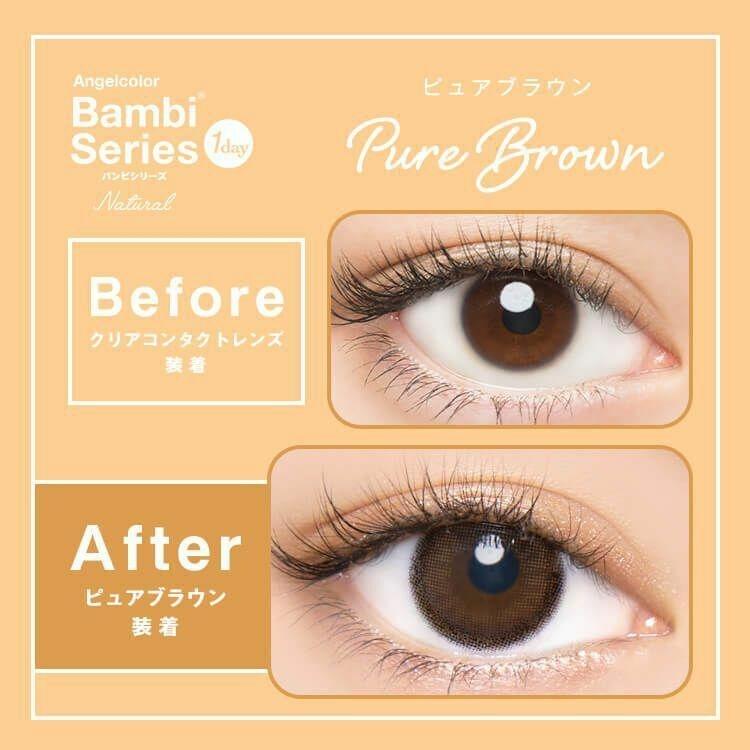 Bambi - Angel Color Bambi series Natural 1 Day Pure Brown  (10P)