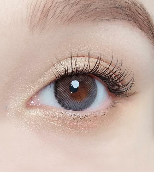 OLOLA - Daymood 1 Day Gray (10P)