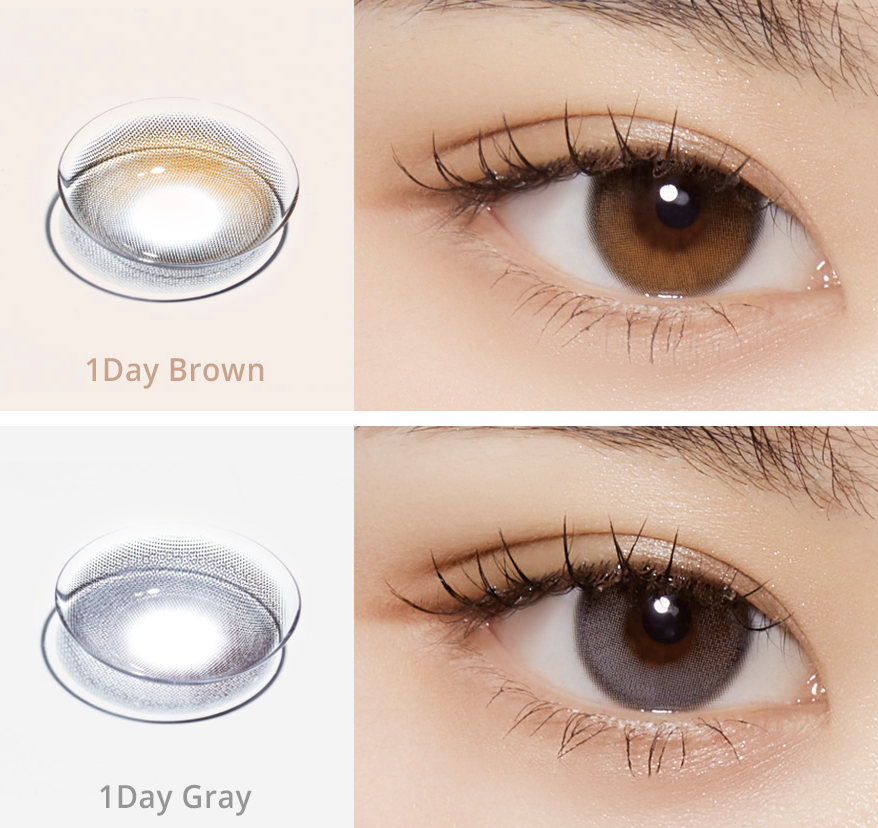 OLOLA - Daymood 1 Day Gray (10P)