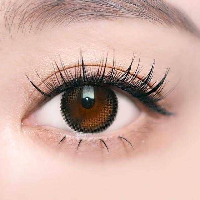 I SHA - ORIANA EDGE+ Shade Gray 1DAY (10P)