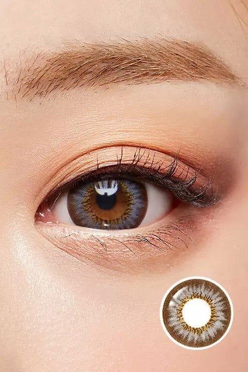 Lenstown Champange Gray Toric 散光 - 月 con