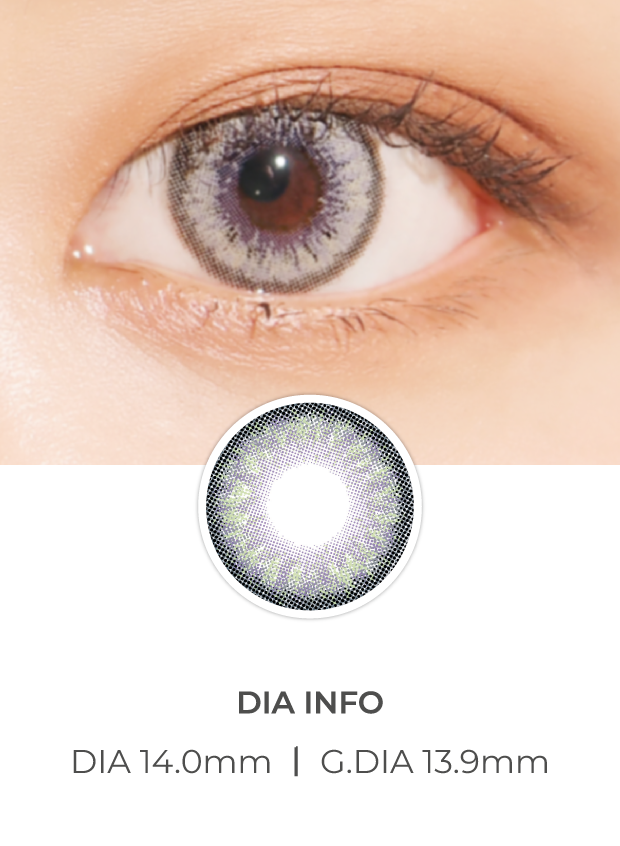 Ann365 Venti Ann Gray  - 月con (2p)