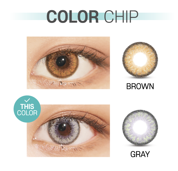 Ann365 Venti Ann Gray  - 月con (2p)