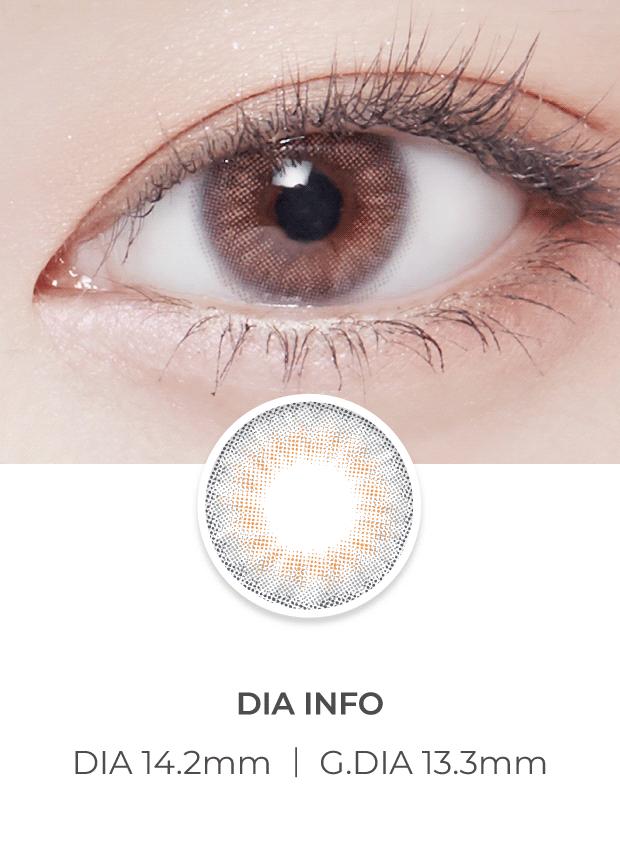 Lensvery Lsome Gray - 月con (2p)