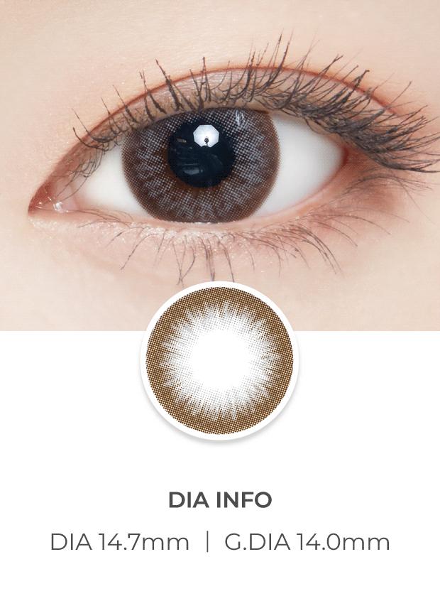 Lensvery Big Class Gray - 月con (2p)