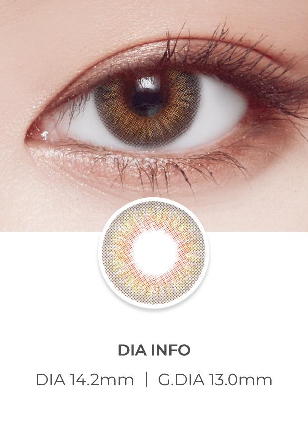 Lensvery Vellica Gray - 月con (2p)