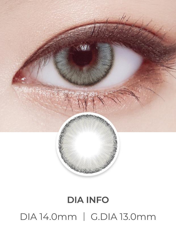 Lensvery Wonder Eye Circle Gray - 月con (2p)