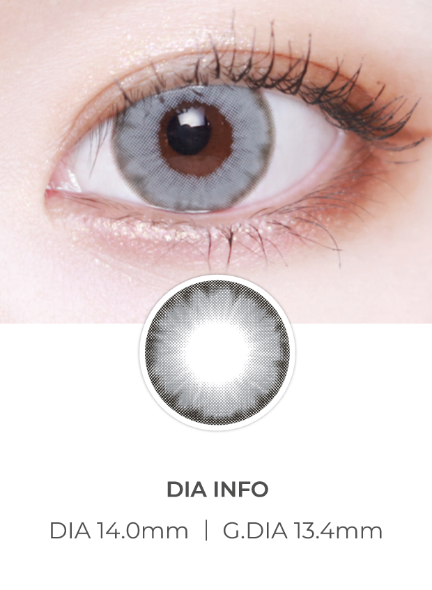 Lensvery Wonder Eye 1Day Gray (10p)