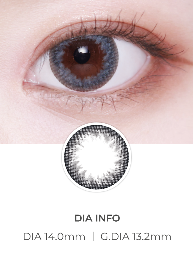 Lensvery Sydney 1 Day Gray (10P)