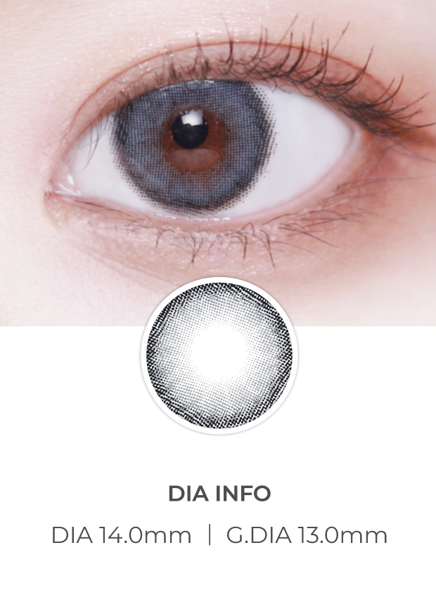 Lensvery Celina 1 Day Gray (10P)