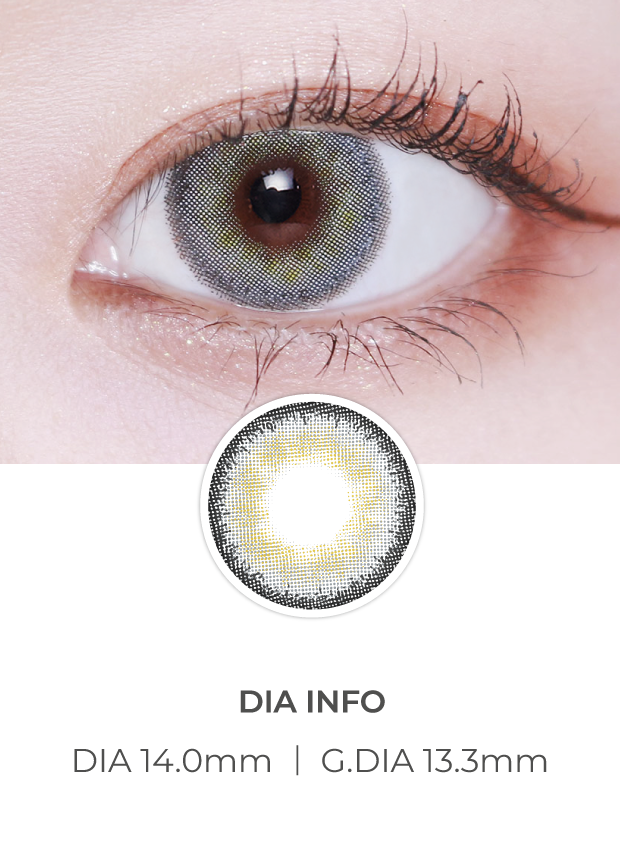 Lensvery Silhouette 1Day Gray (10P)