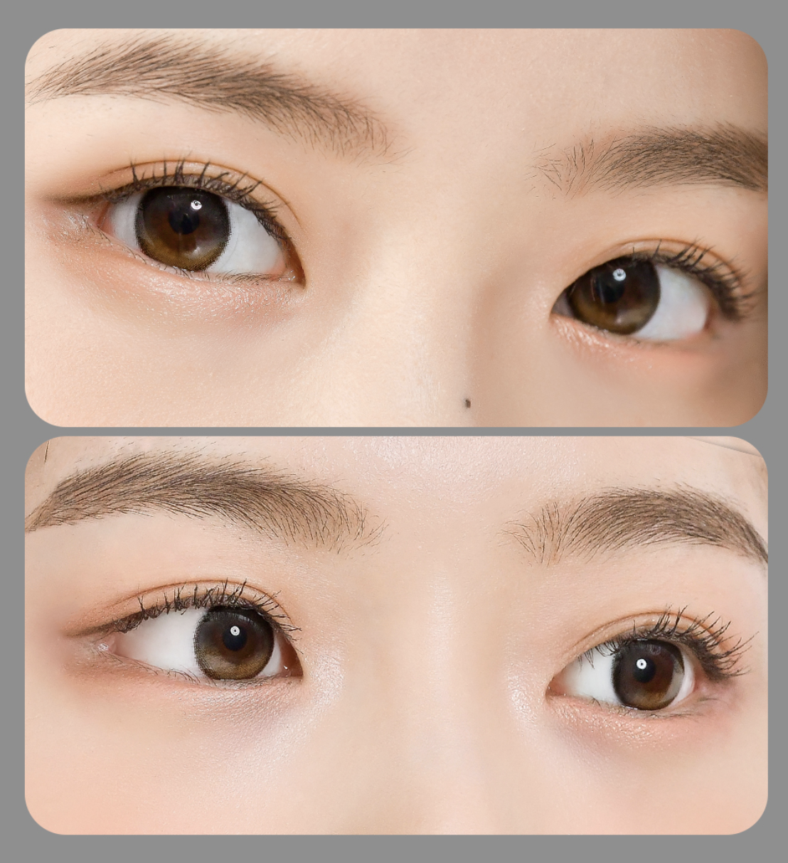 Lenstown To better Black - 月con (2P)