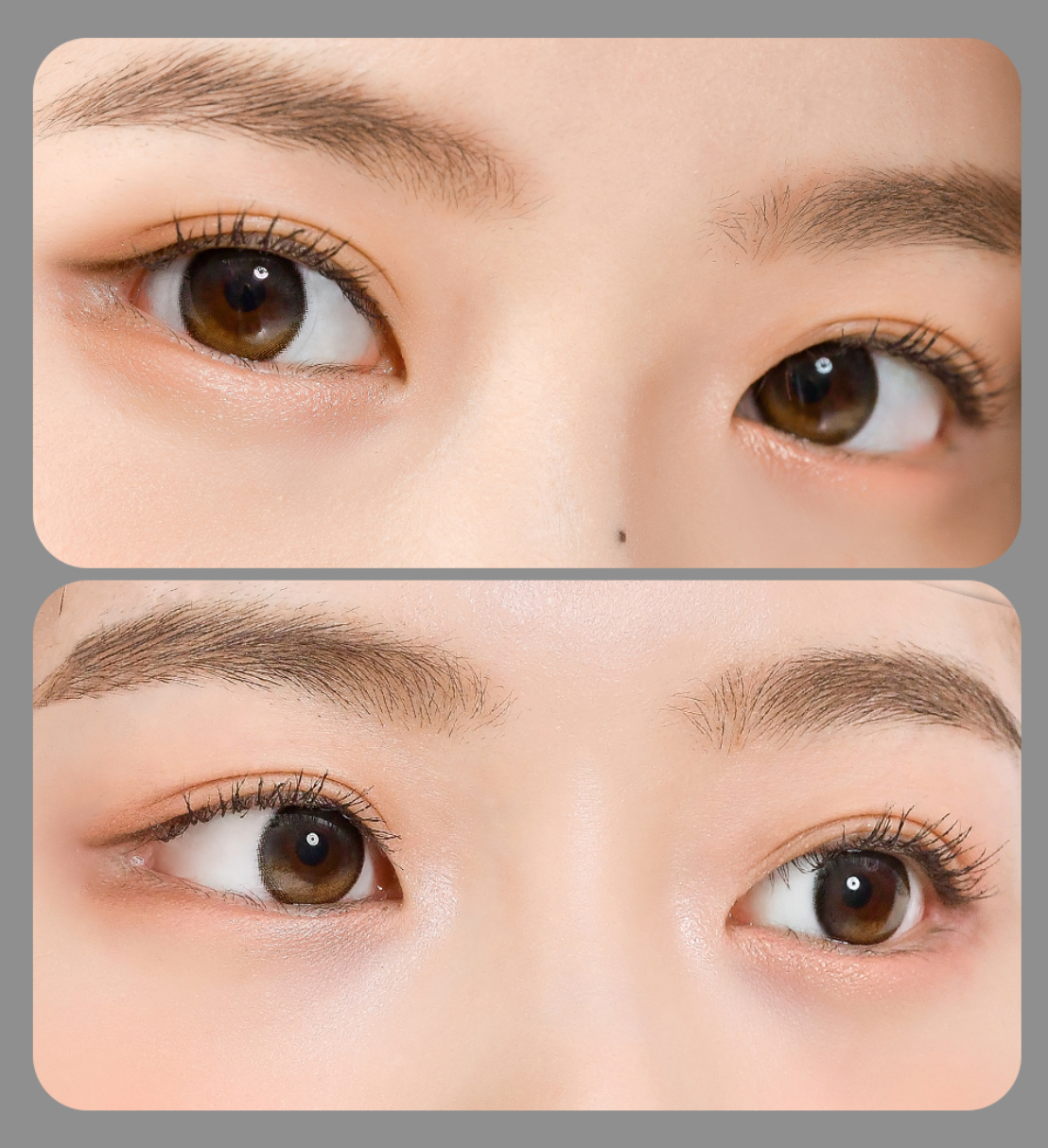 Lenstown To better Big Black - 月con (2P)