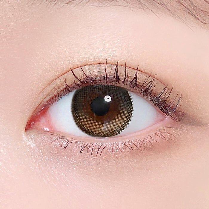 Lenstown To better Big 1 Day Black (10P)