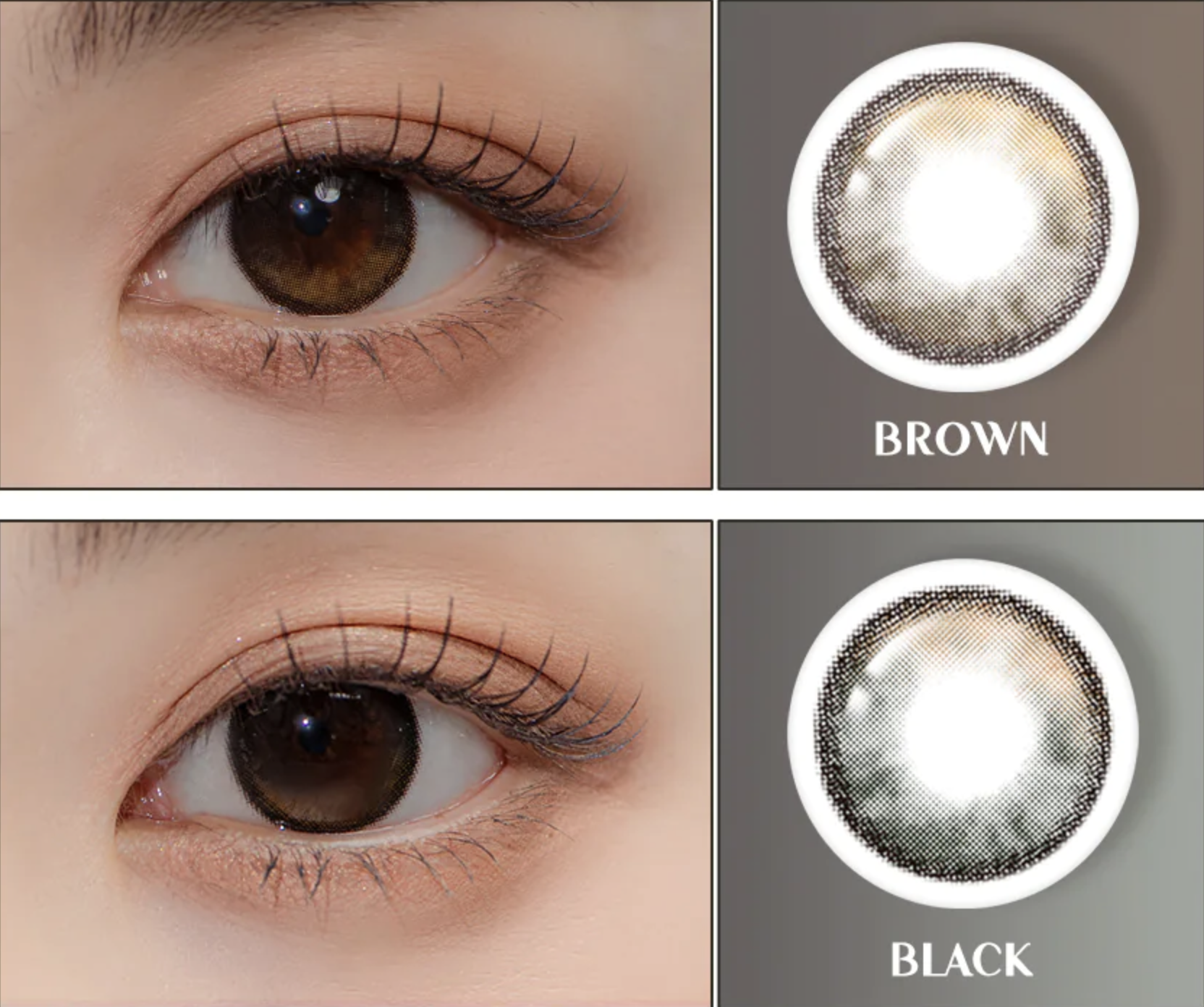 Lenstown To better Big 1 Day Black (10P)