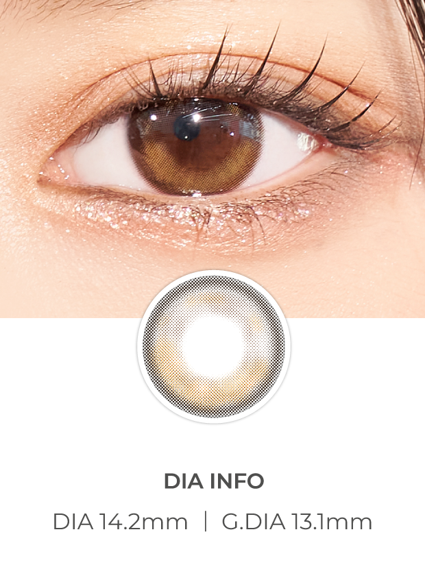 Ann365 Lumie Deep Brown - 月con (2p)